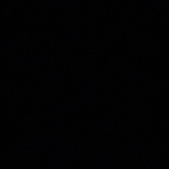 Meet your Posher, Perry - Picture 1 of 1